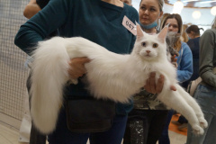DSC08569