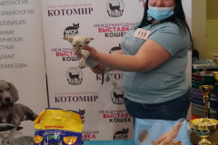 DSC08576