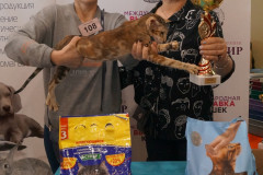 DSC08595