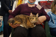 DSC08669