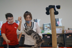 DSC08699