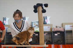 DSC08706