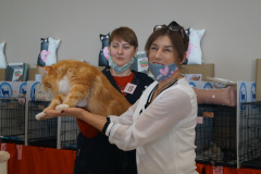 DSC08725