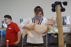 DSC08737
