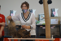 DSC08750