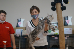 DSC08788