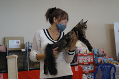 DSC08832