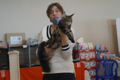 DSC08833