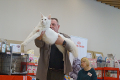 DSC08856