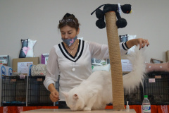 DSC08860