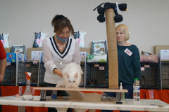 DSC08906