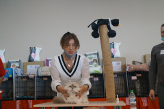 DSC08923