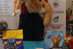 DSC09034