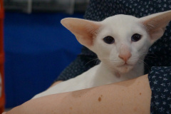 DSC09207