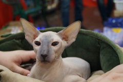 DSC09439