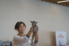 DSC09465