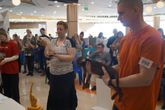 DSC09841