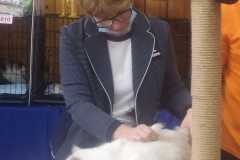 IMG-20211002-WA0020