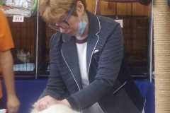 IMG-20211002-WA0022