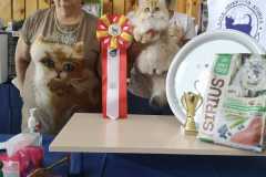 IMG-20211003-WA0015