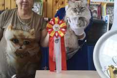 IMG-20211003-WA0020