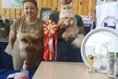 IMG-20211003-WA0021