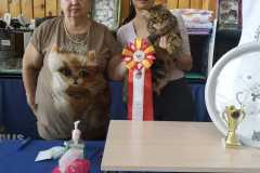 IMG-20211003-WA0022
