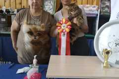 IMG-20211003-WA0023