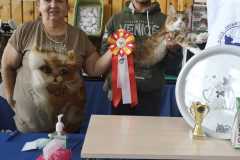 IMG-20211003-WA0027