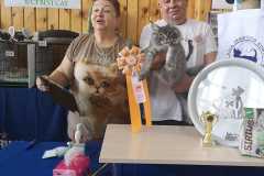 IMG-20211003-WA0028