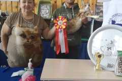 IMG-20211003-WA0029