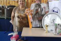 IMG-20211003-WA0030