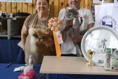 IMG-20211003-WA0031