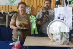 IMG-20211003-WA0035