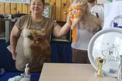 IMG-20211003-WA0036
