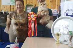IMG-20211003-WA0037