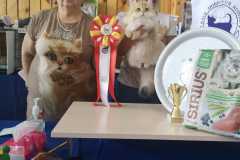 IMG-20211003-WA0039