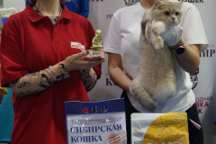 DSC03989