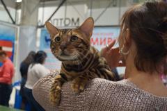 DSC04014