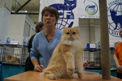 DSC04065