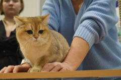 DSC04085