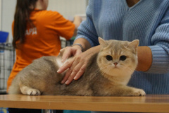 DSC04106