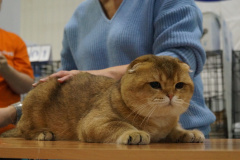 DSC04116