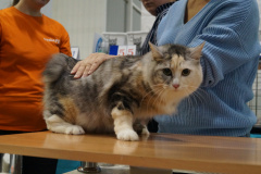 DSC04136