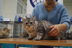 DSC04152