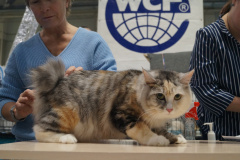 DSC04216