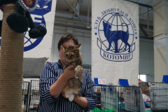 DSC04223