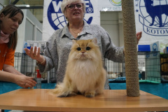 DSC04375