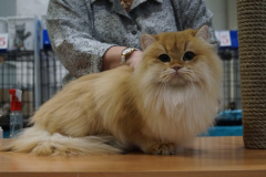 DSC04384