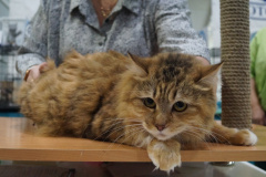 DSC04399